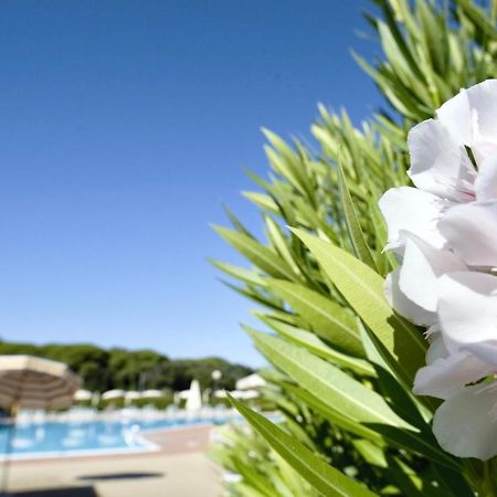 Isa-Apartments 4 Beds In Residence With Swimming-Pool In San Vincenzo, Just 600 Meters From The Sea Ngoại thất bức ảnh