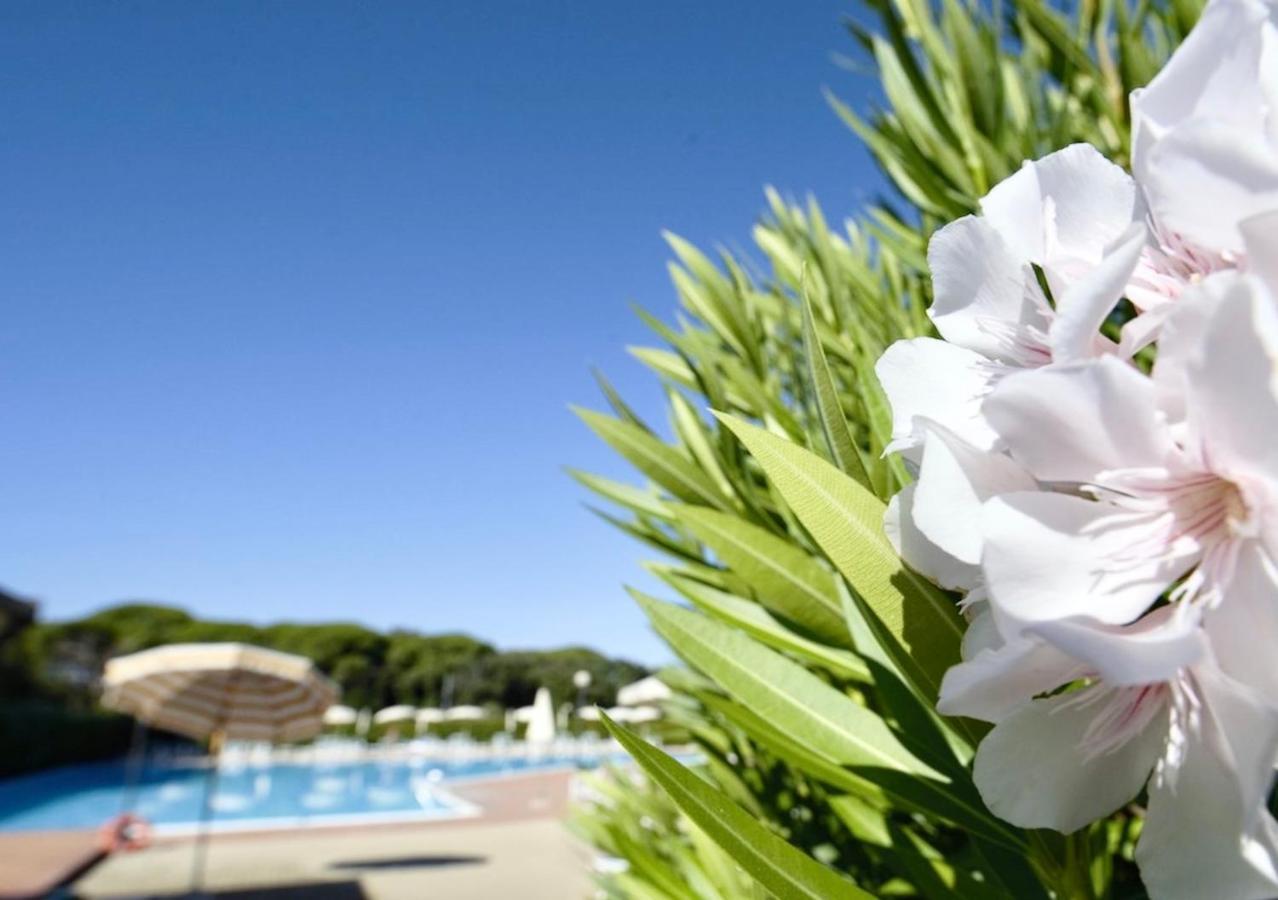 Isa-Apartments 4 Beds In Residence With Swimming-Pool In San Vincenzo, Just 600 Meters From The Sea Ngoại thất bức ảnh